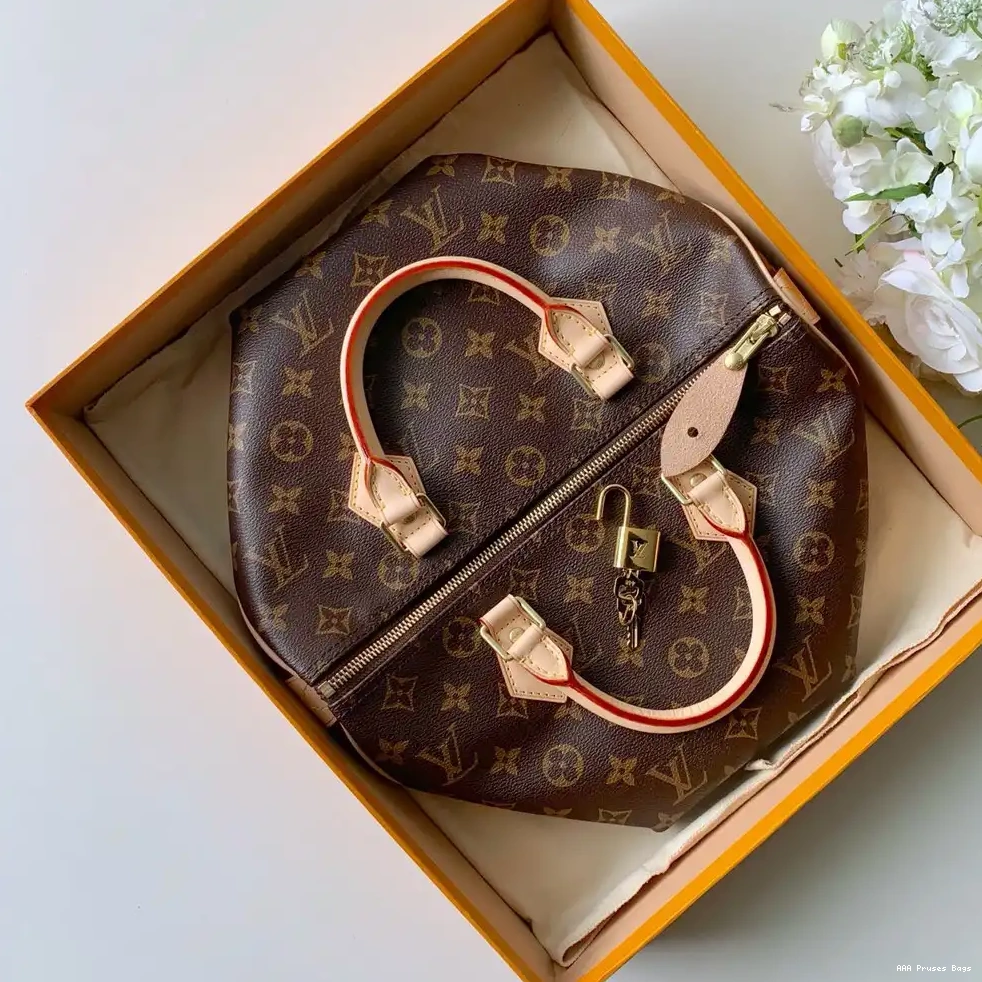 AAA Pruses Bags Louis Vuitton SPEEDY 30 0629